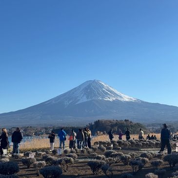 Visitors admire the snowy peak of Mount Fuji under a clear blue sky.