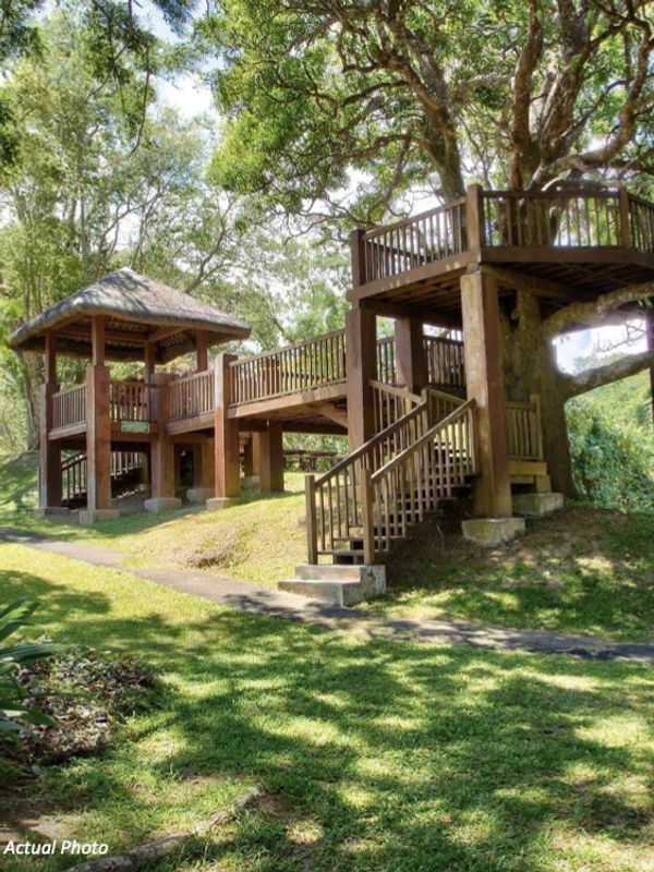 Nature park in Ayala Greenfield Estates