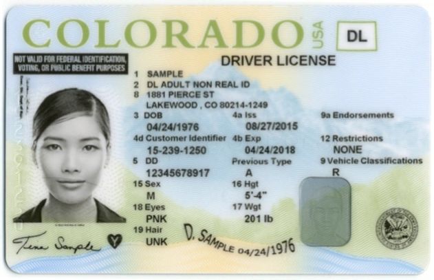 Undocumented Immigrants driver's License