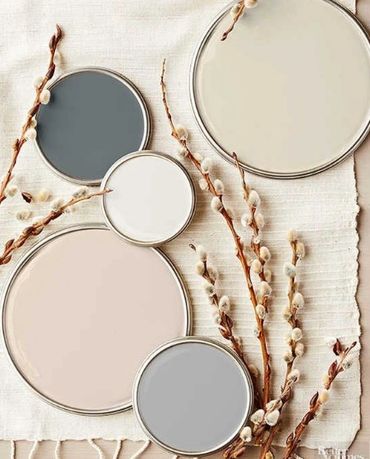 A flatlay of paint can lids painted with soft pastel colours with pussywillows among them.