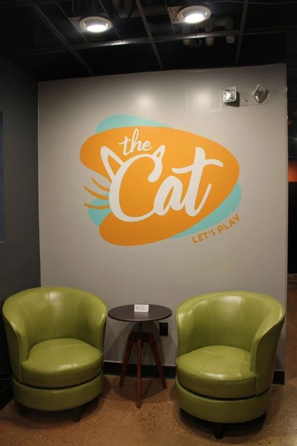 The Cat Interior