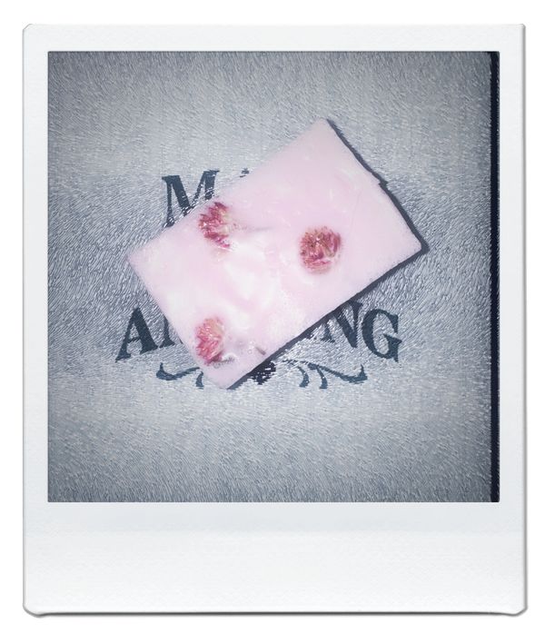 Red plum dried flowers inside a purplish soap bar.