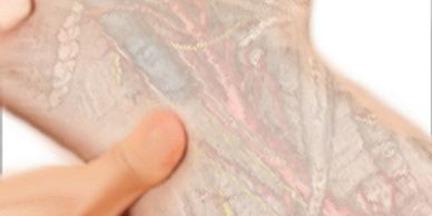 NMT Massage CE Course, Neuromuscular Therapy CEU