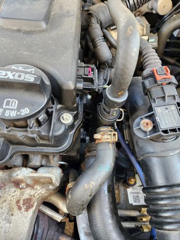 2016 Cruze coolant leak. Very common issue with theses engines