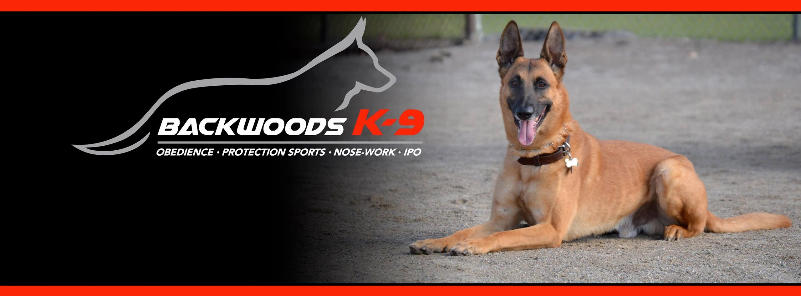 Backwoods K-9 - Dog Training, Dog Trainer, Dog Training, Sport Dog