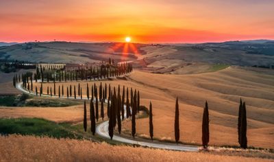 Sunset over winding road lined with tall cypress trees in rolling countryside.