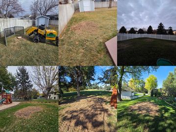 Stump Grinding Done by Alpha Outdoor Services LLC in Kearney Nebraska