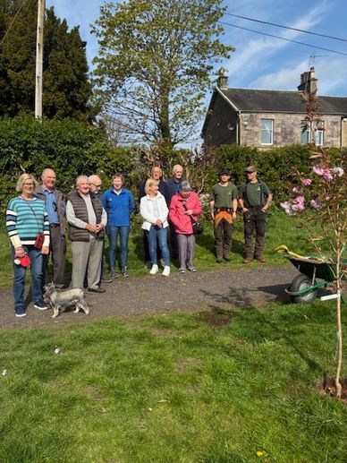Members of the Eco Group in the park as a tree is planted