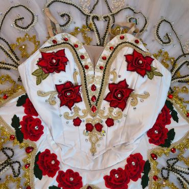 Professional Ballet Tutu Costume Paquita Don Quixote Kitri Performance