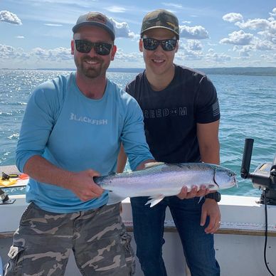 Rainbow trout, Steelhead