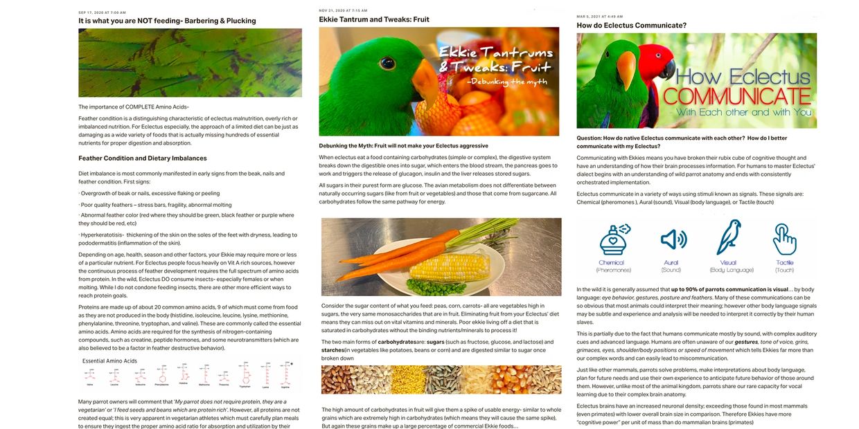 science on eclectus parrots