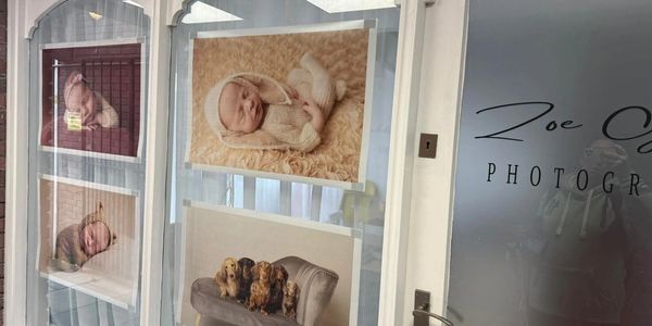 Photography studio window showcasing newborn and pet portraits.