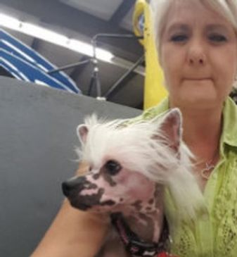 Extreme Chinese Crested Customer Feedback
