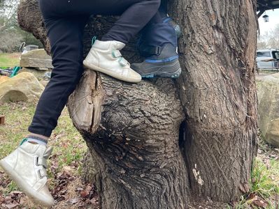 Two people climbing a large tree trunk outdoors.