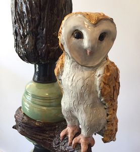Barn Owl