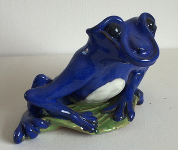 blue frog on green leaf