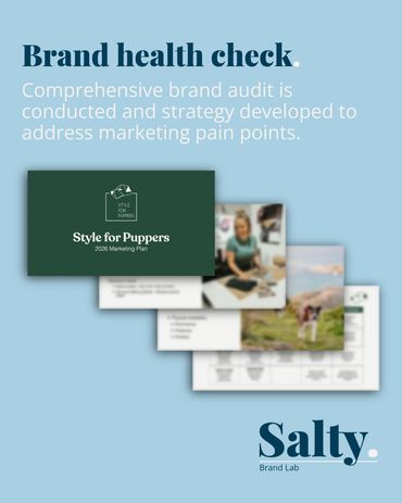 Brand health check with a detailed marketing plan for Style for Puppers by Salty Brand Lab.