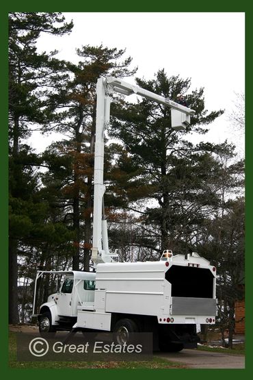 Arborist
Tree Service
Minnesota arborist
Tree service in Minnesota