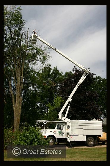 Great Estates Yard and Tree
Arborist
Tree service
Tree removal