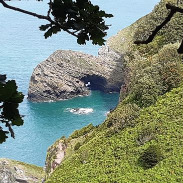 A shot of trees and caves along an english coastline