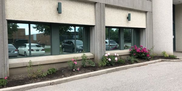 reflective commercial tint