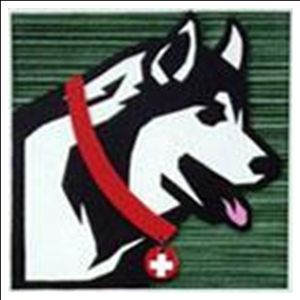 Illustration of a husky dog with a red collar and Swiss cross tag.