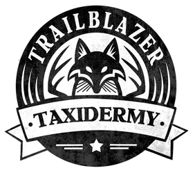 Trailblazer Taxidermy