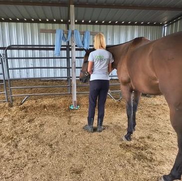 A woman stands beside a brown horse inside a metal barn.