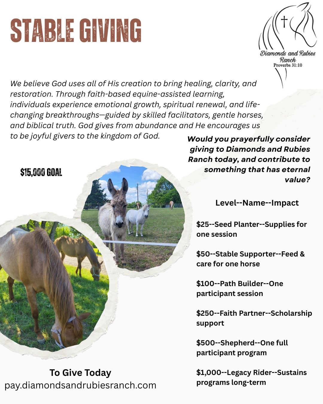 Donation appeal for Diamonds and Rubies Ranch's faith-based equine-assisted learning program.