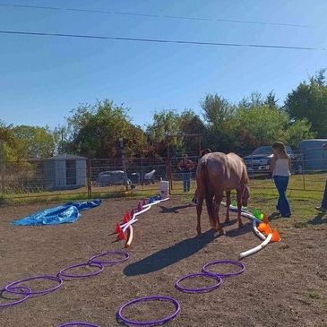 Horse navigating an obstacle course with a person nearby in an outdoor pen.