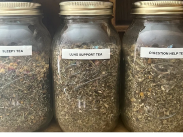 The three beginning teas that started Abby's Apothecary