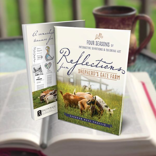 Reflections from Shepherd's Gate Farm - a fresh new devotional by Deborah Hall Subetto