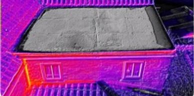 Thermal image of a building