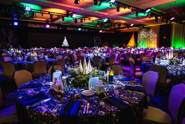 Spirit of Springfield Bright Nights Ball at MGM Springfield