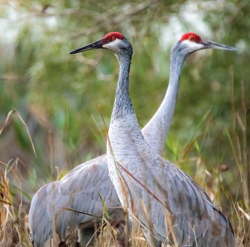 Aerial view of a green suburban area with lakes and a highway.