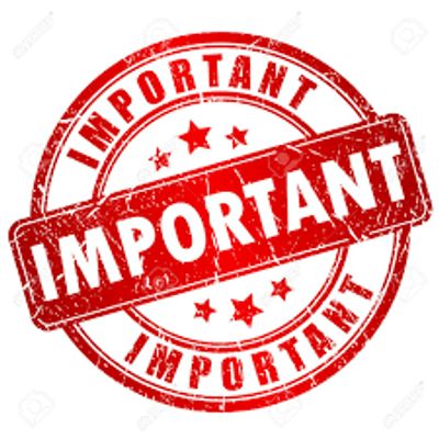 Important details about liquid massaging shoe insoles  - LoveYourFeetNow.com