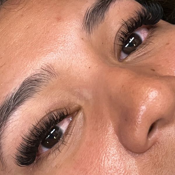 The raven volume set