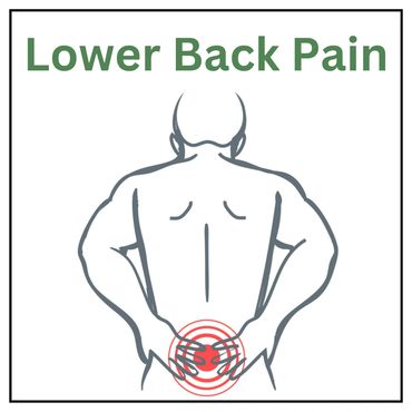 Lower Back Pain, Chiropractor, Chiropractic, Click, Crack, Pop Crunch, Ache, Sharp, Stabbing, Burnin