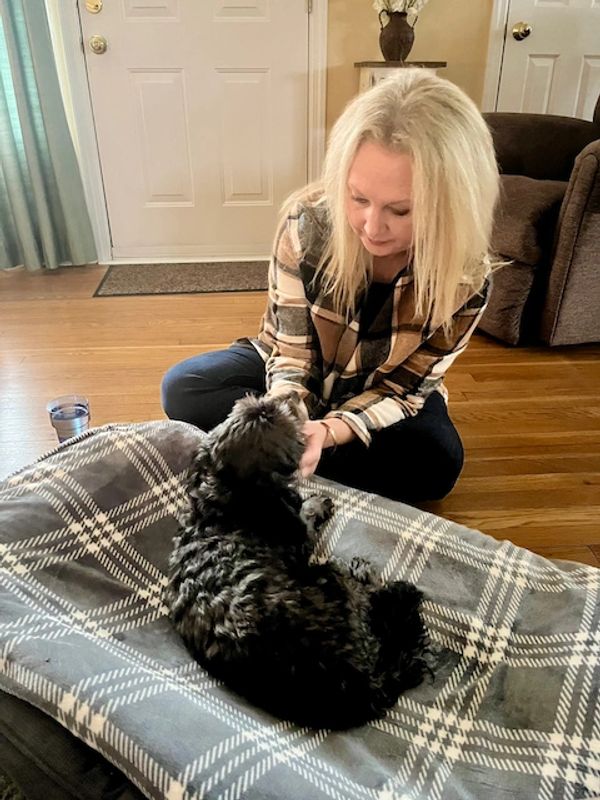 Animal Reiki