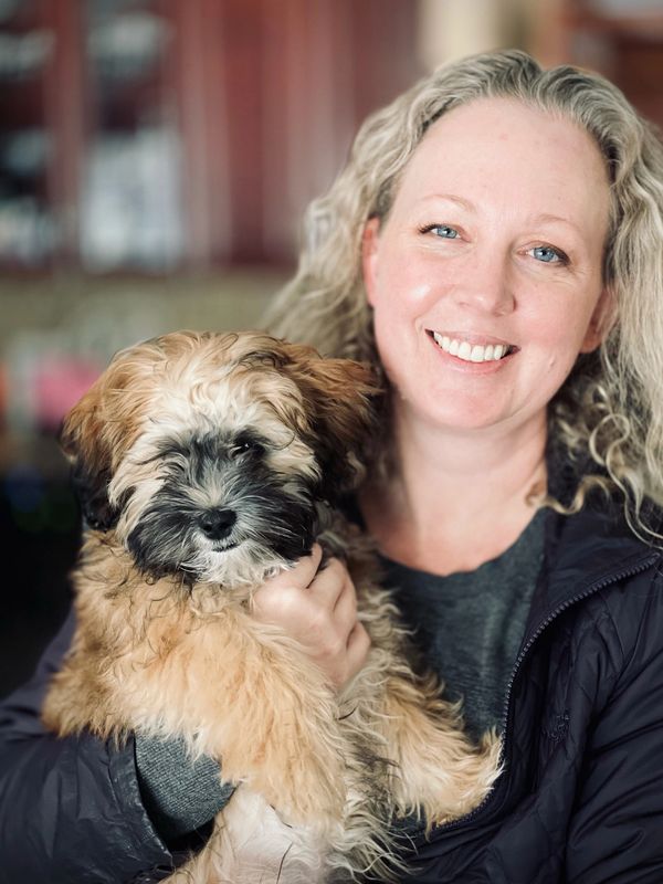 Reiki for dogs
