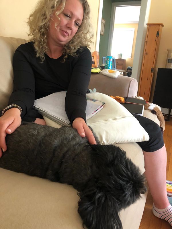 Reiki for dogs