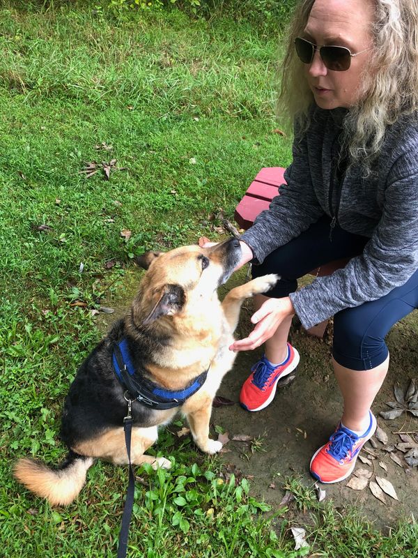 Reiki in the park