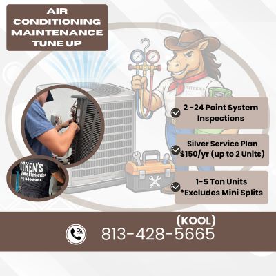 Technician performing a AC Maintenance Tune Up