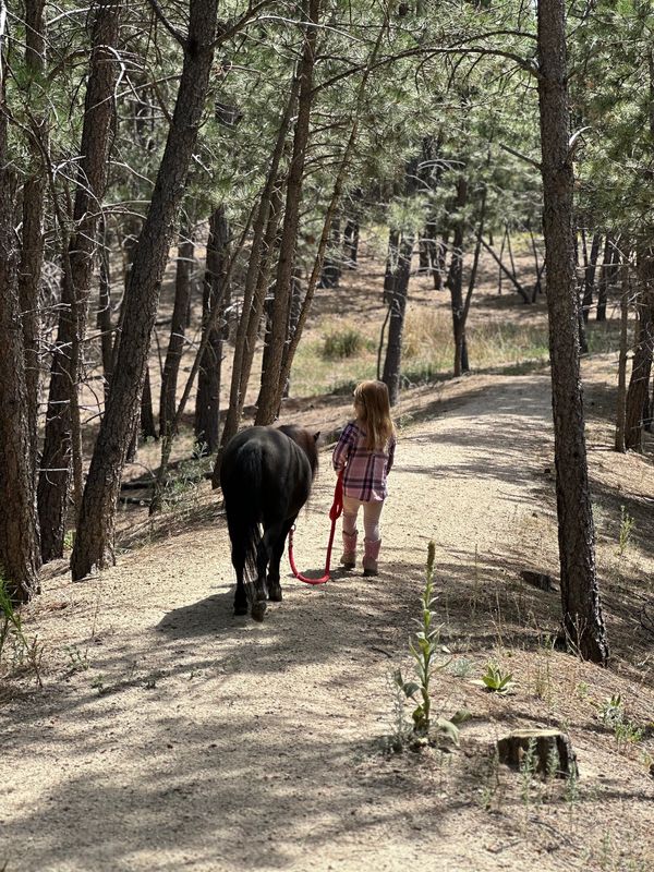 A relaxing walk in nature with a best friend