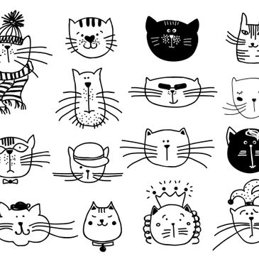 Chez Vie de Chat, on aime tous les chats et ont apprécie par dessus tout leurs caractères des plus diversifiés.