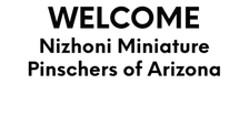 WELCOME TO
NIZHONI MINIATURE PINSCHERS OF ARIZONA
aka MIN PIN HEA