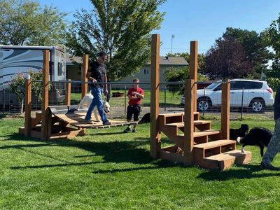 Service dogs for veterans in Washington State with PTSD.