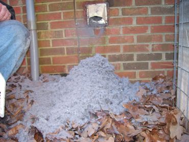 Dryer Vent Cleaning