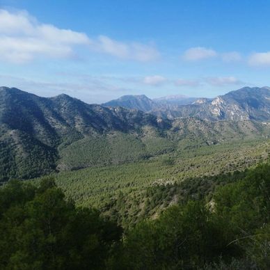 Montañas verdes bajo un cielo parcialmente nublado.