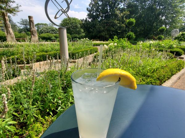 Glass of lemonade with garden background.